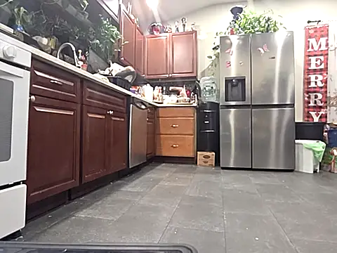 bischo666 online show from 02-24-26, 02:20