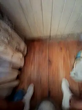 Snapshot of Franco10_- chatting on 02-15-26, 09:11 Franco10 - online show from 02-15-26, 09:11