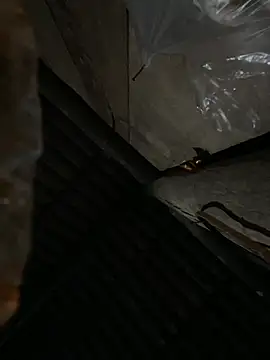 bikhidj online show from 04-13-26, 06:02