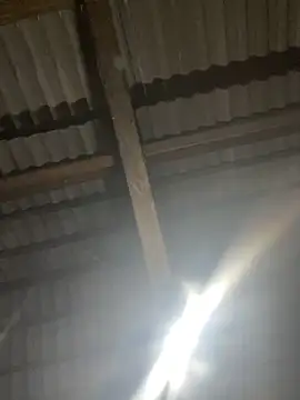 bikhidj online show from 04-21-26, 01:39