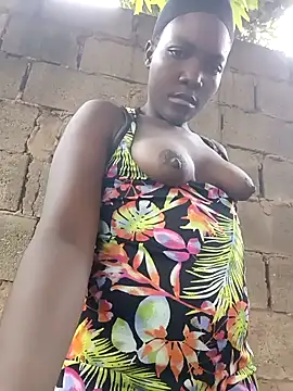 Bald gee online show from 03-12-26, 06:52