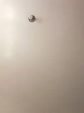 Snapshot of Cati_cat3 chatting on 02-07-26, 04:43 Cati cat3 online show from 02-07-26, 04:43