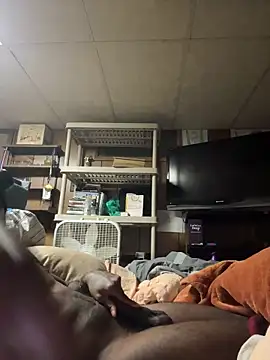 ProveYourLoyalty2 online show from 03-19-26, 08:40