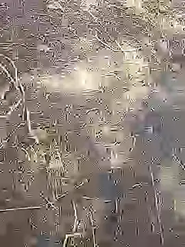 Cute Boy 4 online show from 03-14-26, 08:42