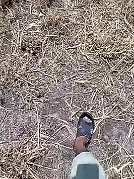 Cute Boy 4 online show from 04-18-26, 07:45