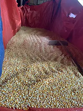 Snapshot of Star-sweet01 chatting on 06-29-26, 10:15 Star-sweet01 online show from 06-29-26, 10:15