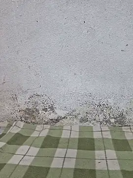 Snapshot of Mey_mey2k3 chatting on 03-18-26, 04:48 Mey mey2k3 online show from 03-18-26, 04:48