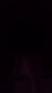 TululipuZ online show from 02-28-26, 07:20