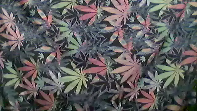 Snapshot of libraxxxstudios chatting on 05-24-26, 11:26 libraxxxstudios online show from 05-24-26, 11:26