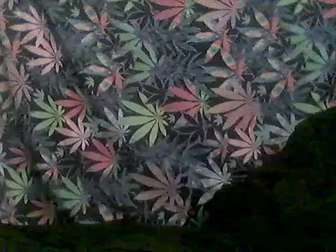 Snapshot of libraxxxstudios chatting on 06-28-26, 09:59 libraxxxstudios online show from 06-28-26, 09:59