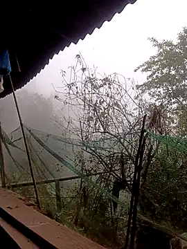 Anna 516 online show from 03-06-26, 12:51