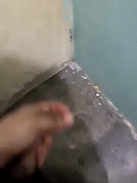 tortolito201 online show from 02-08-26, 02:48