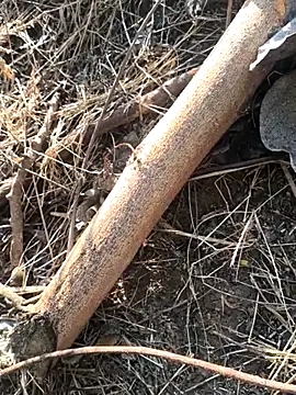 Snapshot of Vinita_cuty chatting on 02-09-26, 04:16 Vinita cuty online show from 02-09-26, 04:16