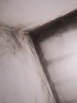 Lamich online show from 02-13-26, 09:33