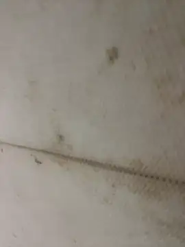 Miu Xinh online show from 04-11-26, 05:06