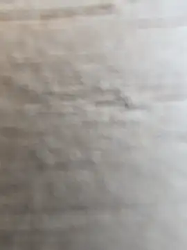 manish 8826 online show from 02-12-26, 08:42