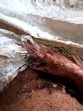 manish 8826 online show from 04-06-26, 01:36