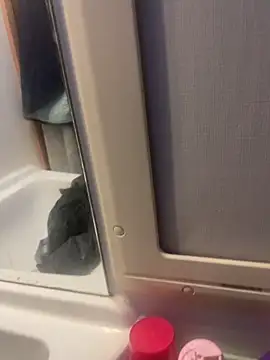 stallone italiano 62 online show from 02-26-26, 06:56