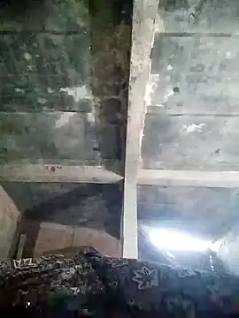 Loomaraj online show from 04-11-26, 01:04