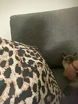 Snapshot of little_dreamer_ chatting on 03-09-26, 07:18 little dreamer online show from 03-09-26, 07:18