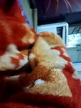 yusu 3 online show from 03-19-26, 06:45