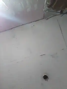 cobrosdepagos online show from 04-11-26, 04:17