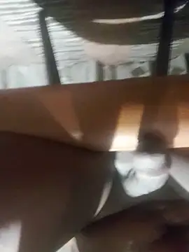 Cookiesucker2025 online show from 03-15-26, 11:55