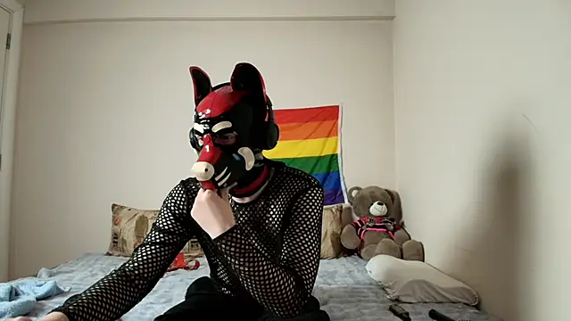 K9 GoodBoy online show from 04-09-26, 05:51