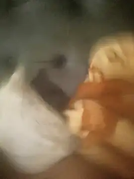 InferredPloce online show from 04-23-26, 11:18