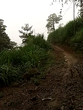 Nth5h online show from 04-18-26, 11:27