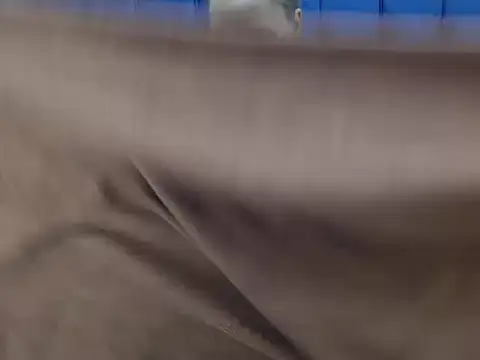 CurvyAssXX21 online show from 02-21-26, 06:25