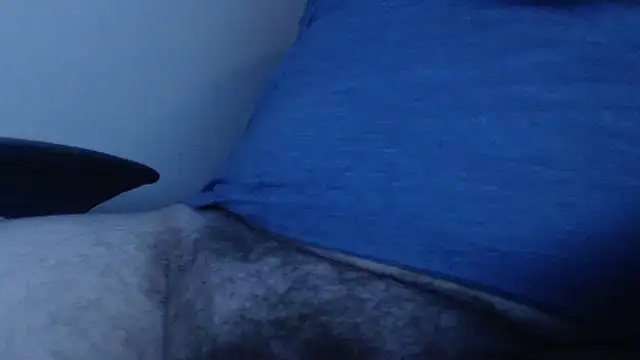 Snapshot of alexrivalo123 chatting on 03-16-26, 06:28 alexrivalo123 online show from 03-16-26, 06:28