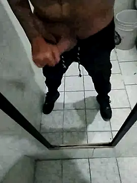 trox memide21cm online show from 04-20-26, 06:20