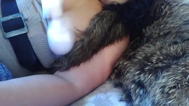 BunnyYT online show from 03-10-26, 11:59