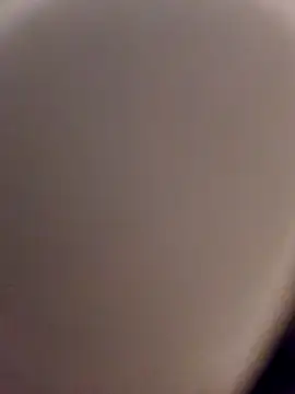 Snapshot of skynct2007 chatting on 02-24-26, 05:38 skynct2007 online show from 02-24-26, 05:38