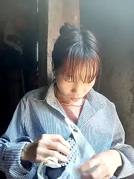 pic8800 online show from 03-26-26, 06:30