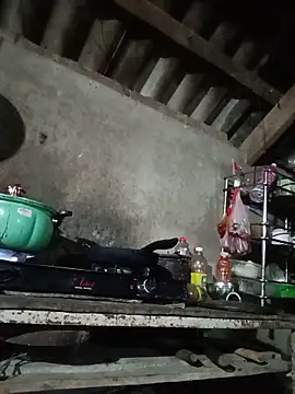 pic8800 online show from 05-27-26, 10:18