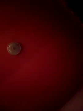 alexandruElena online show from 02-28-26, 06:20