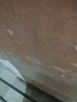 Tamillaxmi12 online show from 04-14-26, 03:40