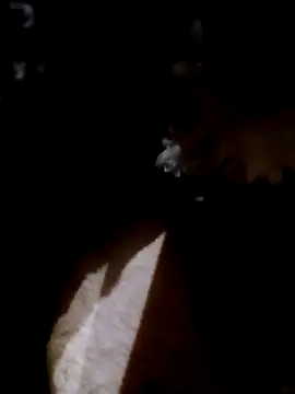 Adix 02six online show from 04-14-26, 01:55