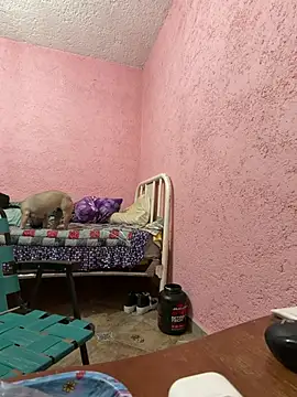 deivchoky online show from 04-14-26, 01:00