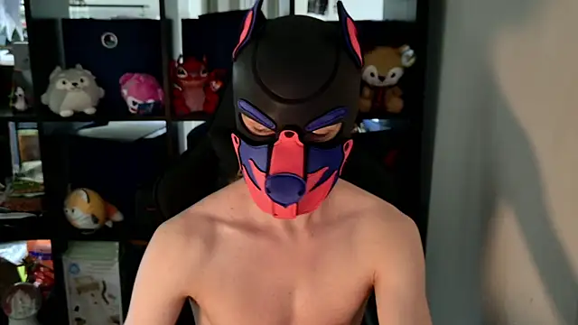 MellPUP online show from 06-08-26, 08:42