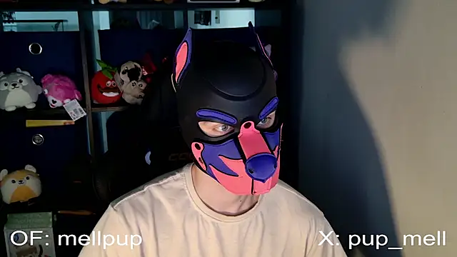 MellPUP online show from 06-25-26, 01:04