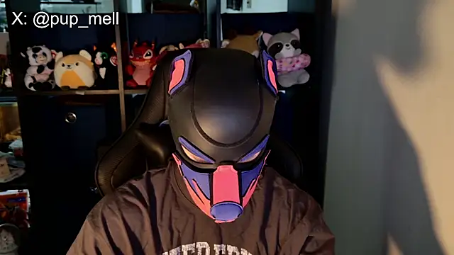 MellPUP online show from 08-04-26, 03:36