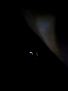 Pop1977 online show from 04-01-26, 07:42