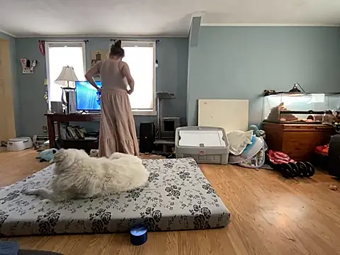 highimmaryjane online show from 03-25-26, 04:46