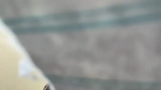 Snapshot of the-gen-xxx chatting on 03-17-26, 11:08 the-gen-xxx online show from 03-17-26, 11:08