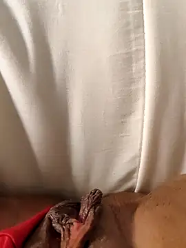 Snapshot of hasapequinha chatting on 03-19-26, 06:01 hasapequinha online show from 03-19-26, 06:01