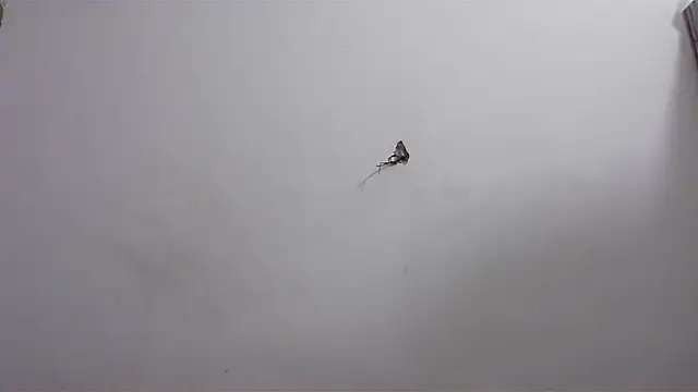 hard to do   online show from 04-20-26, 06:16