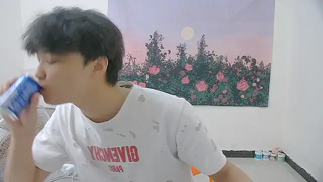 Snapshot of icecream-002 chatting on 05-19-26, 11:49 icecream-002 online show from 05-19-26, 11:49
